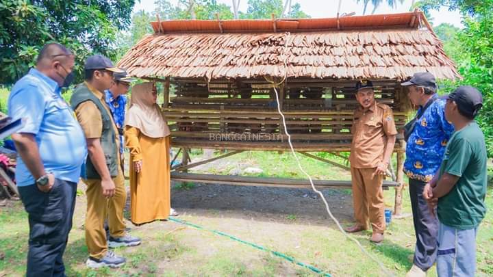 Gandeng Kejari Banggai, DISNAKKESWAN Banggai Monev Kelompok Penerima Bantuan