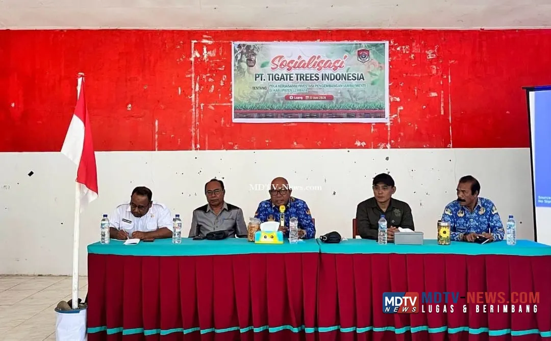 Dari Lahan Tidur ke Sumber Pendapatan, Investasi Jambu Mete Siap Dikembangkan di Lembata